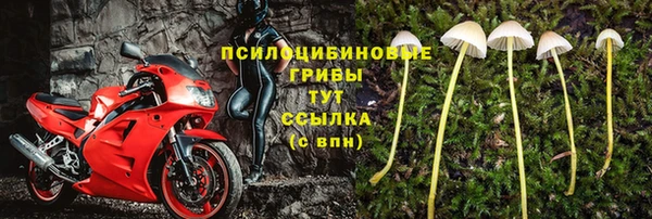 амф Армянск