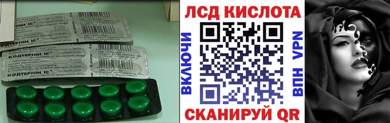 что такое   Новодвинск  Лсд 25 экстази ecstasy 